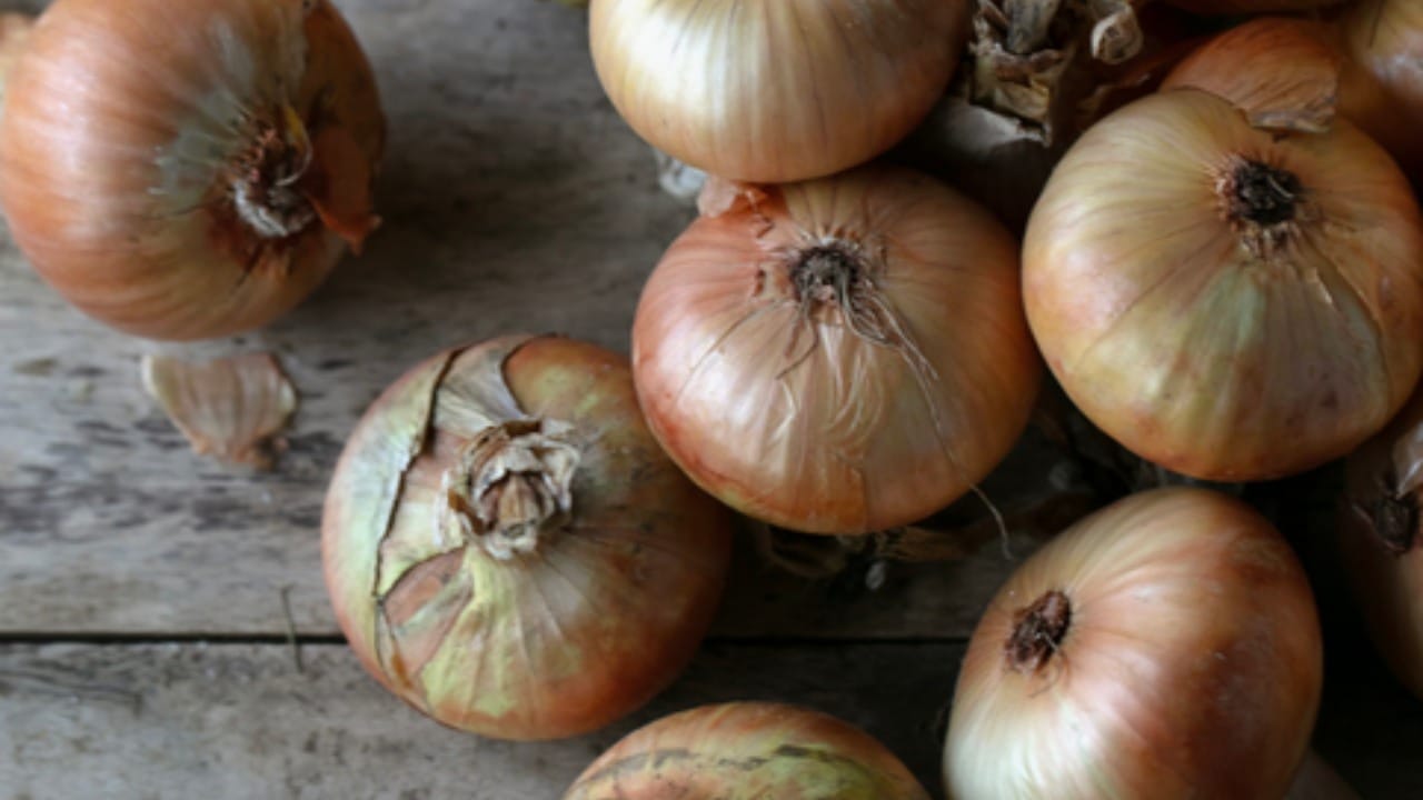 जर तुमची कोणतीही शस्त्रक्रिया होणार असेल, तर डॉक्टरांच्या सल्ल्यानुसार किमान दोन आठवडे आधी कांदा खाणे बंद करावे. यामुळे शस्त्रक्रियेदरम्यान किंवा नंतर होणारा रक्तस्त्राव रोखण्यास मदत होते.