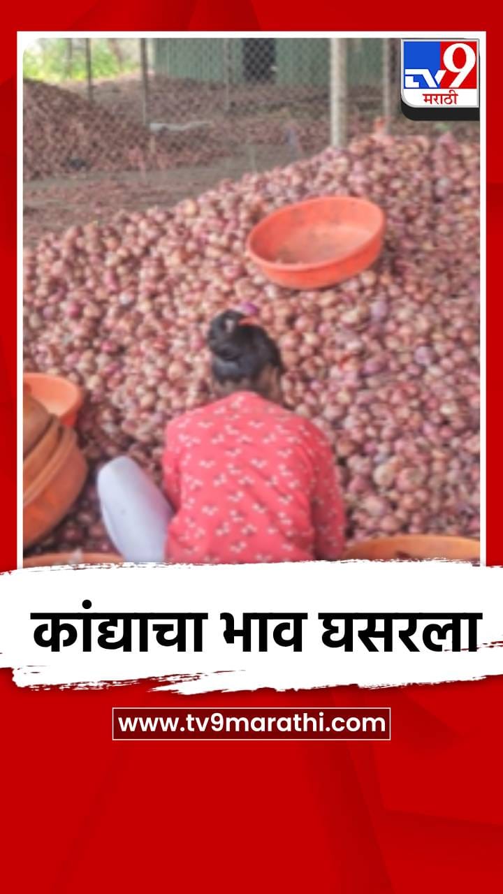 कांद्याचा भाव घसरला, शेतकरी हवालदिल