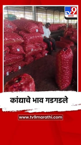 धुळ्यात कांद्याचा भाव गडगडला, शेतकऱ्यांत चिंता.