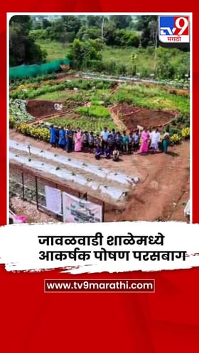 सातारा - आकर्षक पोषण परसबागेमुळे जावळवाडी शाळेचा पहिला नंबर.