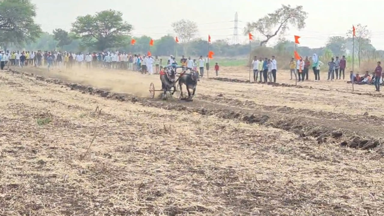 नंदयाचा मालक ऋषी देशमुख यांच्या कानावर नंदयाचे नाव जरी पडले तरी त्यांच्या डोळ्यातून अश्रू निघत आहेत. तर भागवत देशमुख यांना नंद्याविषयी बोलताना हुंदका आवरत नाही. 'तो आमच्यासाठी बैल नव्हता, आमचा मुलगाच होता' असे भावनिक शब्द त्यांनी व्यक्त केले.