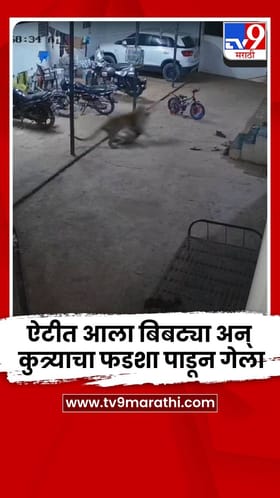 ऐटीत आला अन् कुत्र्याचा फडशा पाडून गेला, पुण्यात बिबट्याची दहशत