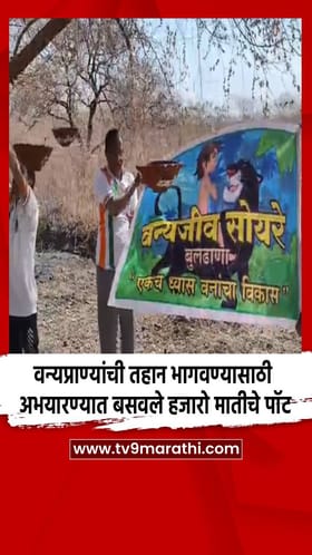 वन्यप्राण्यांची तहान भागवण्यासाठी अभयारण्यात बसवले हजारो मातीचे पॉट.