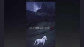 जंग में जानेवाले घोडे, बारात में नही नाचते! प्रतिभा धानोरकरांचं स्टेटस.