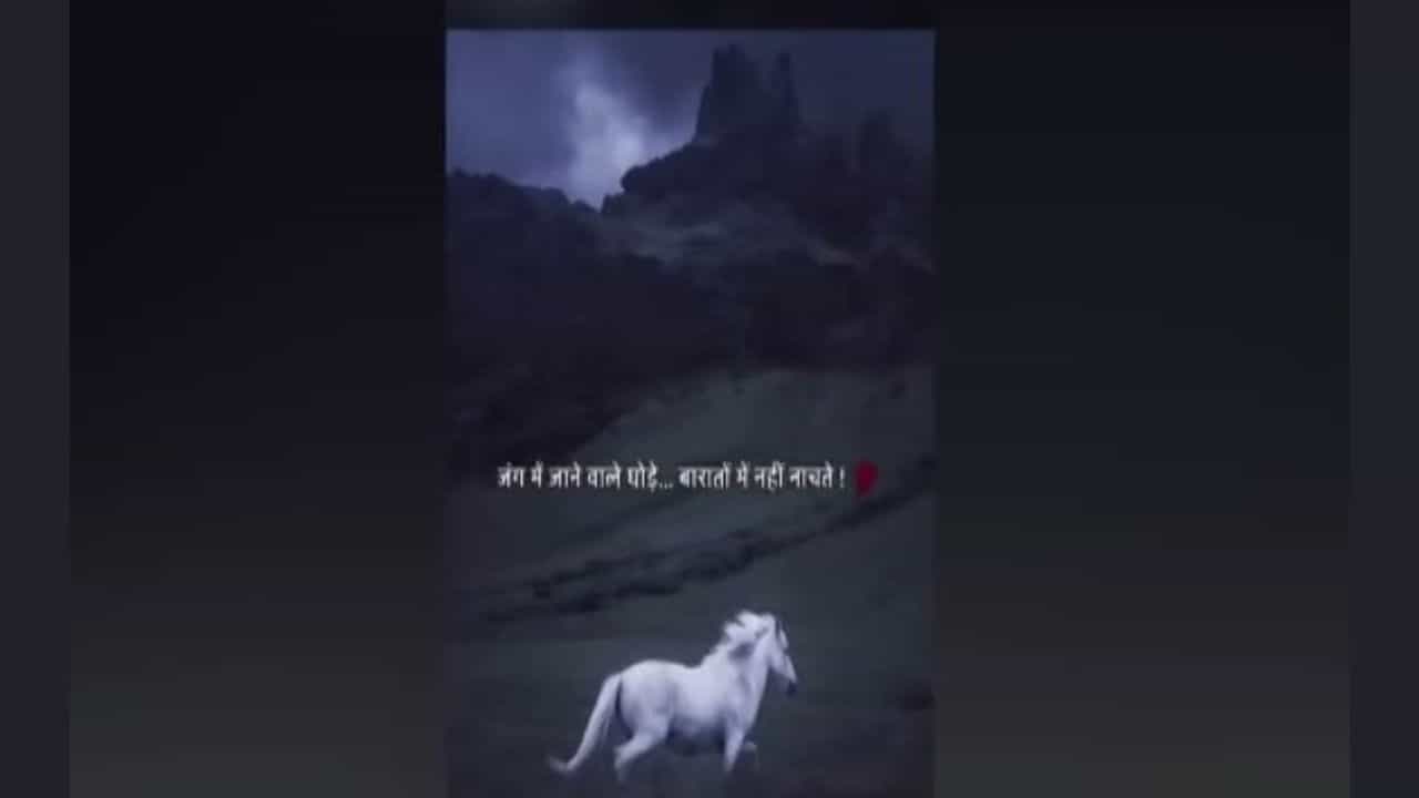 जंग में जानेवाले घोडे, बारात में नही नाचते! प्रतिभा धानोरकरांच्या स्टेटसची चर्चा