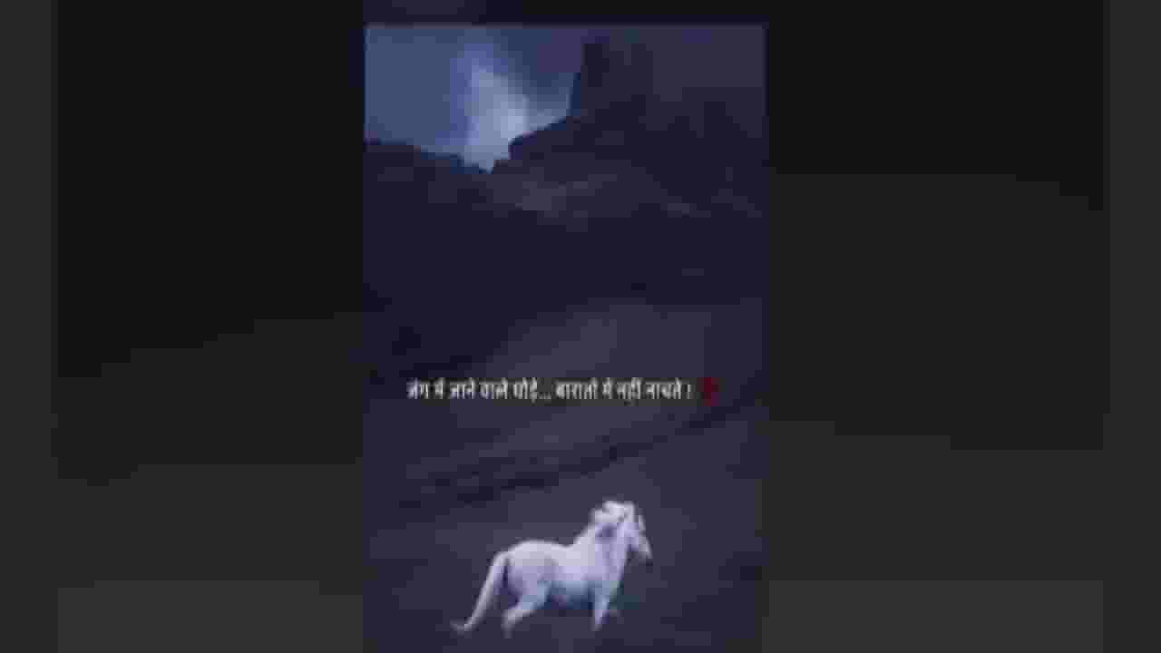 जंग में जानेवाले घोडे, बारात में नही नाचते! प्रतिभा धानोरकरांच्या स्टेटसची चर्चा