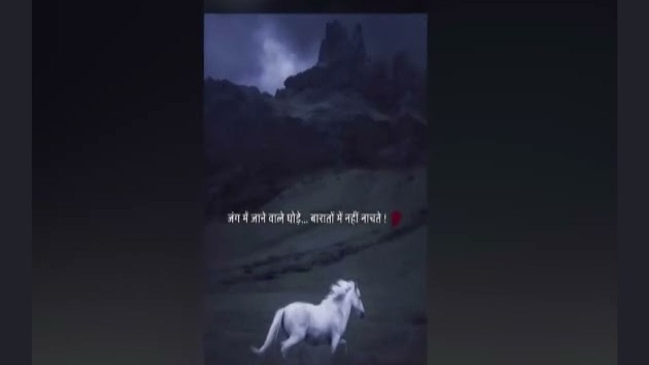 जंग में जानेवाले घोडे, बारात में नही नाचते! प्रतिभा धानोरकरांच्या स्टेटसची चर्चा जंग में जानेवाले घोडे, बारात में नही नाचते! प्रतिभा धानोरकरांच्या स्टेटसची चर्चा