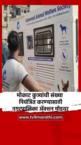 मोकाट कुत्र्यांची संख्या नियंत्रित करण्यासाठी नगरपालिका ॲक्शन मोडवर.