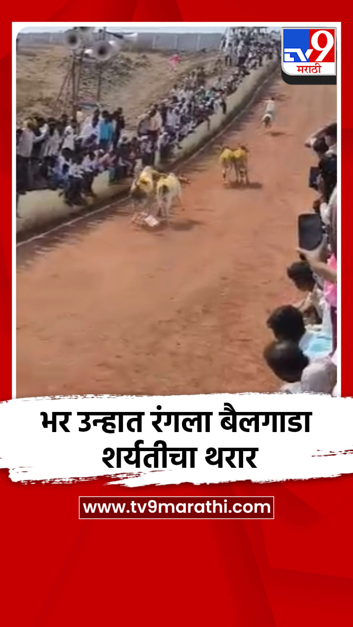 भर उन्हात रंगला बैलगाडा शर्यतीचा थरार