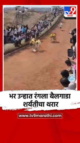 भर उन्हात रंगला बैलगाडा शर्यतीचा थरार.