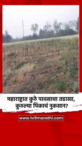 महाराष्ट्रात कुठे पावसाचा तडाखा, कुठल्या पिकाचं नुकसान?