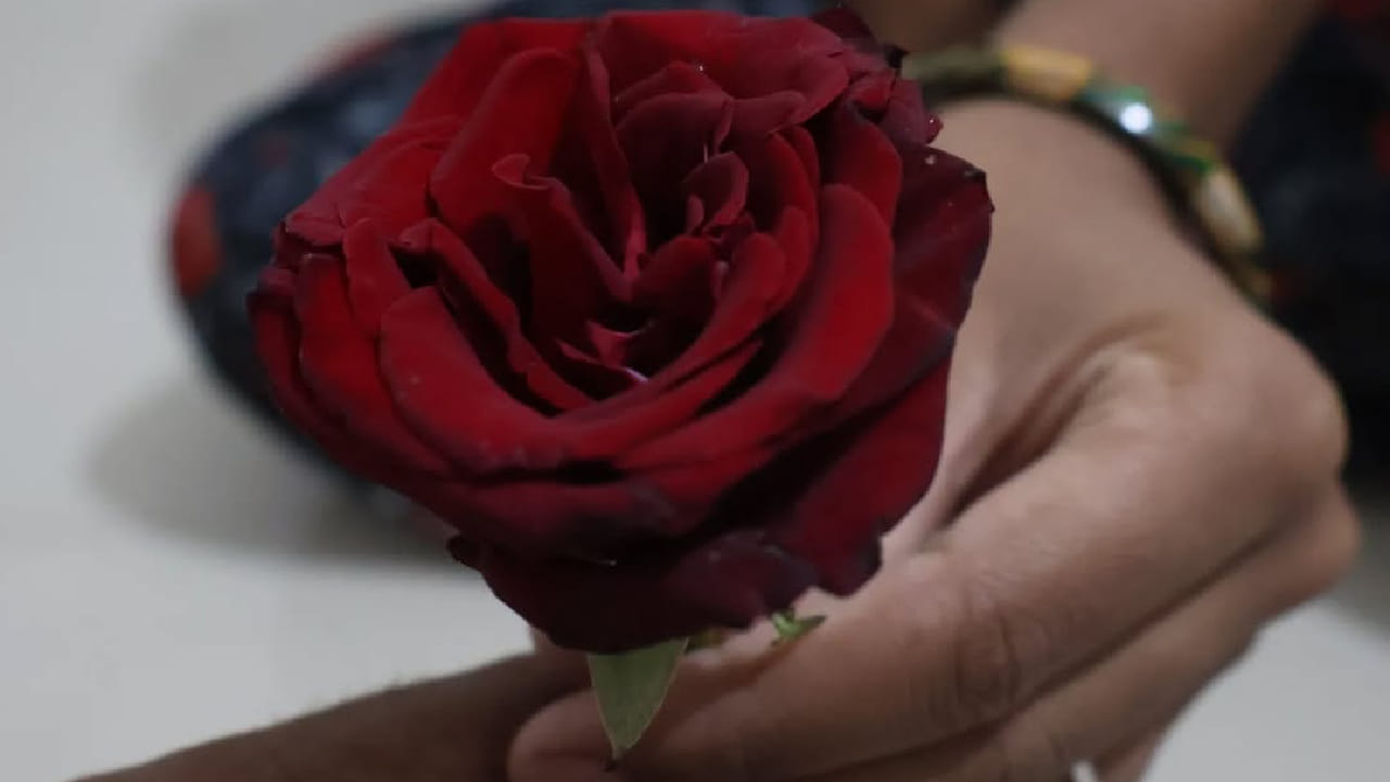 हा गुलाब माझ्या हृदयाचा संदेश आहे, तुझं नावच माझ्या प्रत्येक श्वासात आहे.