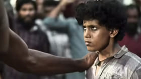 270 कोटी बजेट अन् कमाई 600 कोटी, 366 दिवस ओटीटीवर राज्य करणारा चित्रपट.