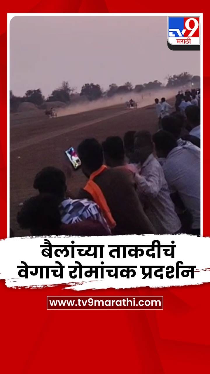 भंडाऱ्याच्या सिल्लीमध्ये शंकरपट मोठ्या उत्साहात पडलं पार