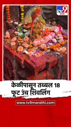 रावेरमध्ये 51 क्विंटल केळीपासून तब्बल 18 फूट उंच शिवलिंग.