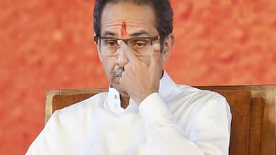 Maharashtra ZP Election Results 2026 : जिल्हा परिषद आणि पंचायत समितीत ठाकरे गटाची कामगिरी काय?