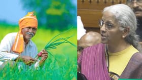 बजेटमध्ये शेतकऱ्यांना काय? निर्मला सीतारमण यांनी केली मोठी घोषणा.