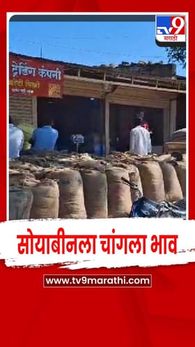 लातूरच्या अडत बाजारात सोयाबीनला चांगला भाव.