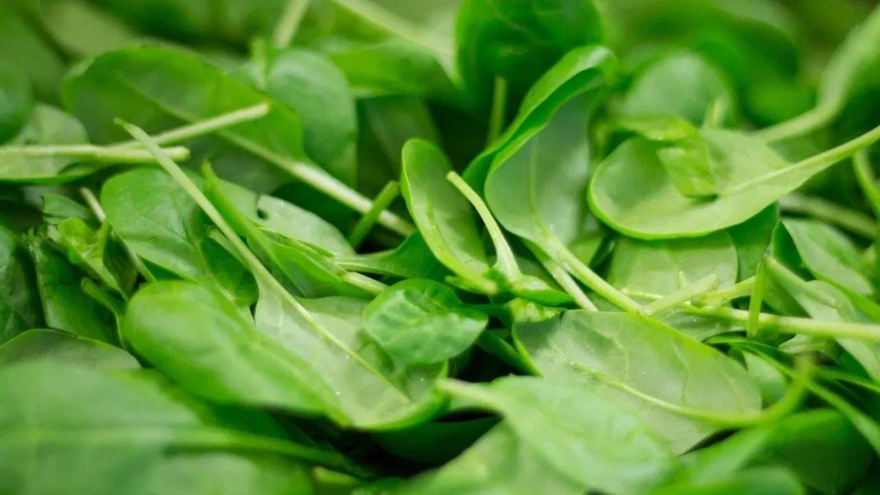 पण लहान मुले पालक खाण्याकडे कानाडोळा करतात. जर तुम्हालाही पालक खाणे अजिबात आवडत नसेल तर विविध प्रकारे आपण पालकाचा दररोजच्या आहारात समावेश करू शकता. 