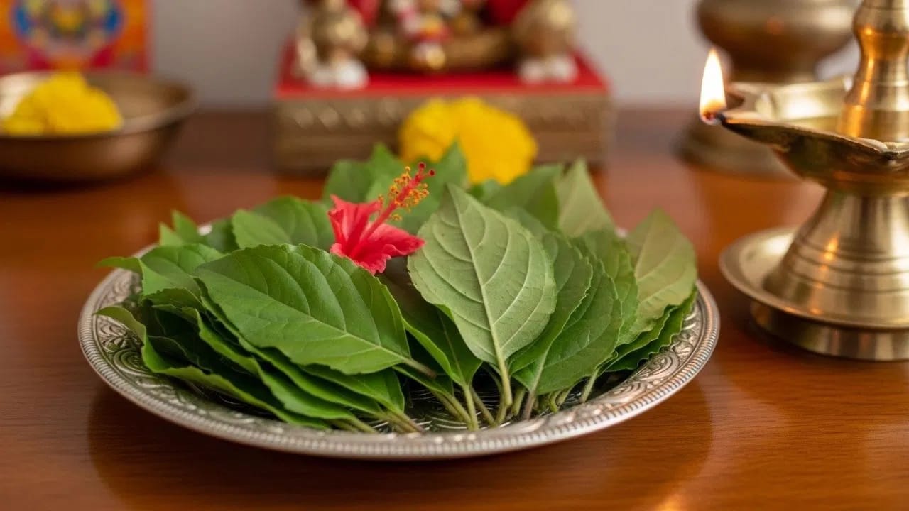 पूजेमध्ये अर्पण केलेल्या तुळशीच्या पानांचा पुन्हा वापर करता येतो. जर नवीन पाने उपलब्ध नसतील तर जुनी पाने वापरण्याची परवानगी आहे, कारण तुळशी स्वतः शुद्ध मानली जाते आणि ती शिळी होत नाही.