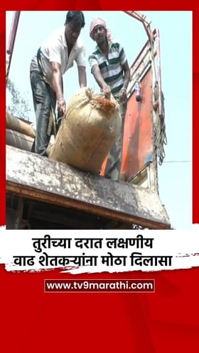 तुरीच्या दरात लक्षणीय वाढ शेतकऱ्यांना मोठा दिलासा