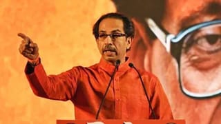 अख्ख्या राज्यात ठाकरेंच्या वाघाची चर्चा, पठ्ठ्याने एकहाती निवडणूक जिंकली, गड आला पण…