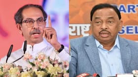 राणे की ठाकरे? कोकणातील जनतेने कोणाला नाकारले, पाहा संपूर्ण निकाल.