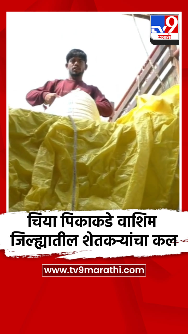 चिया पिकाकडे वाशिम जिल्ह्यातील शेतकऱ्यांचा कल