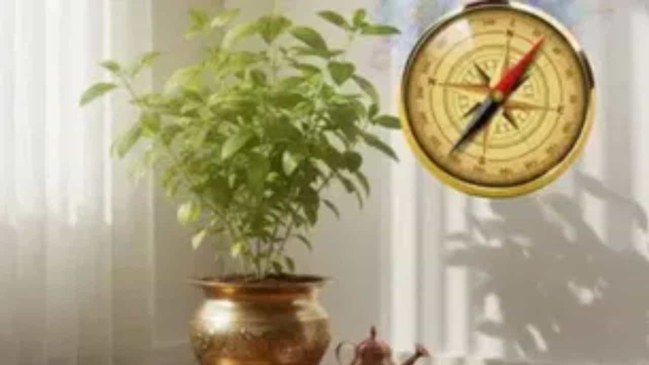 Vastu Shastra : सायंकाळच्या वेळी चुकूनही करू नका या गोष्टी, अन्यथा घरात येईल गरिबी