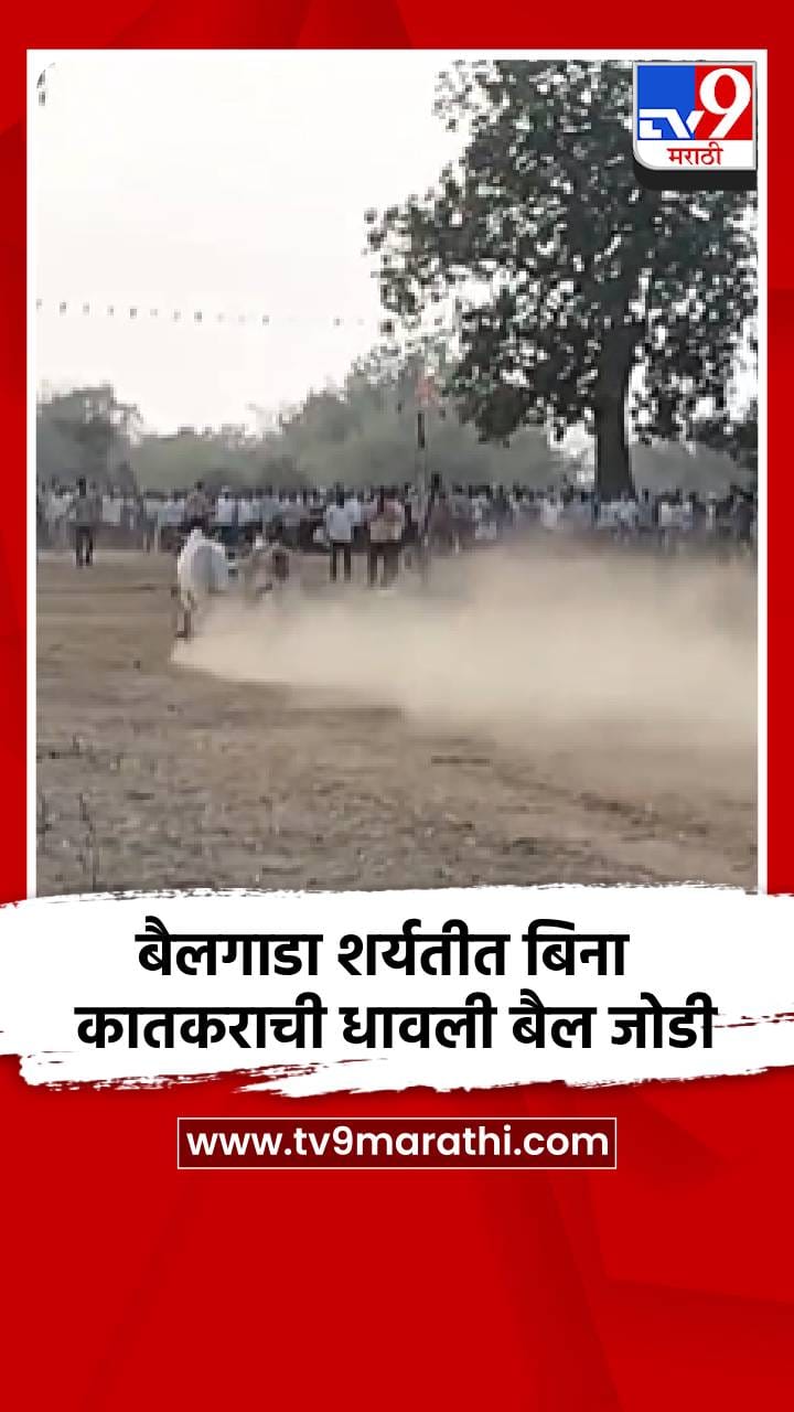 बैलगाडा शर्यतीत बिना कातकराची धावली बैल जोडी