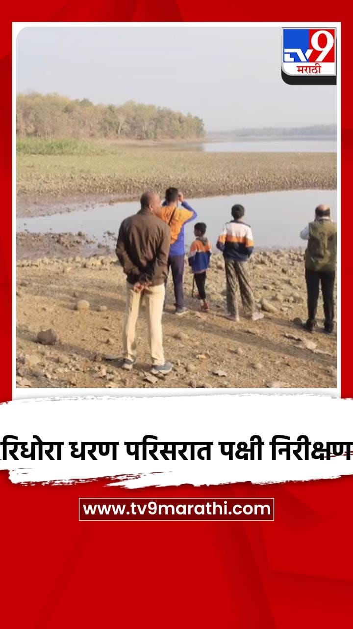 रिधोरा धरण परिसरात पक्षी निरीक्षण