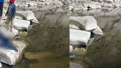 खोल धबधब्यातून निघालं धक्कादायक सत्य, NDRFच्या टीमने हात टेकले, पण 15 दिवसानंतर जे काही दिसलं त्याने...