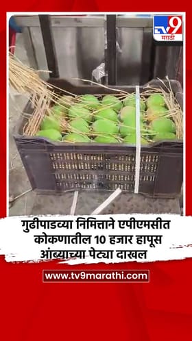 गुढीपाडव्या निमित्ताने एपीएमसीत कोकणातील 10 हजार हापूस आंब्याच्या पेट्या दाखल