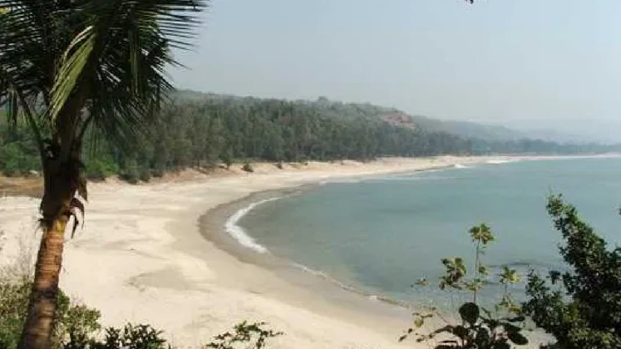 या ठिकाणी आलेल्या पर्यटकाला दिवस कसा निघून जातो हे देखील कळत नाही. त्यामुळे तुम्ही देखील या ठिकाणी कुटुंबासह भेट देऊ शकता. 