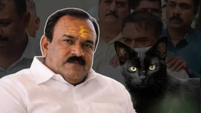 लिंगपिसाट खरातच्या प्रकरणात मोठा ट्विस्ट! काळ्या मांजरीची का होतेय चर्चा? काळजाचा ठोका चुकवणारी माहिती उघड