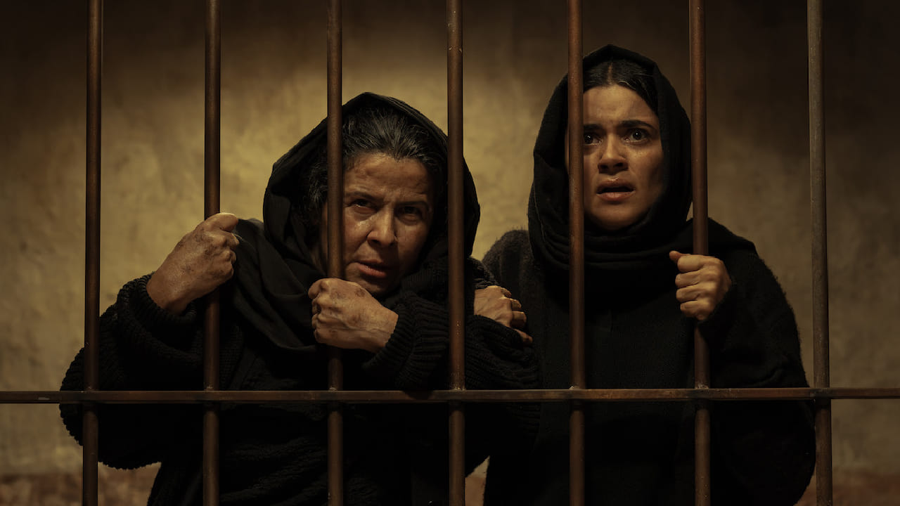 ‘The Dead Girls’ या सीरिजला प्रदर्शनानंतर प्रेक्षक आणि समीक्षकांकडून चांगला प्रतिसाद मिळाला आहे. या सीरिजचे एकूण 6 भाग असून प्रत्येक भाग सुमारे एक तासाचा आहे. IMDb वर या मालिकेला 6.9 इतकी रेटिंग मिळाली आहे. ही सीरिज Netflix वर हिंदी भाषेत उपलब्ध आहे आणि 2025 पासून ती ट्रेंडमध्ये आहे.