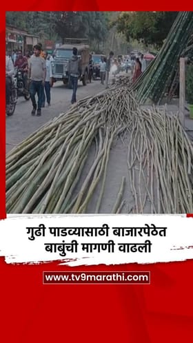 गुढी पाडव्यासाठी बाजारपेठेत बाबुंची मागणी वाढली