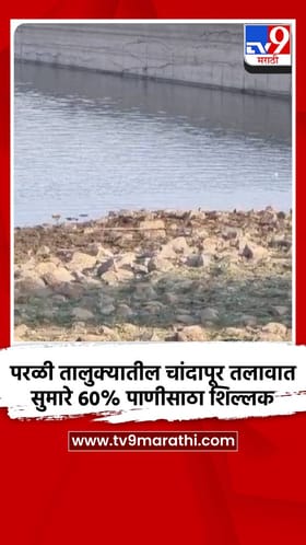 परळी तालुक्यातील चांदापूर तलावात सुमारे 60% पाणीसाठा शिल्लक