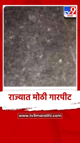 भोकरदन तालुक्यात गारपीट आणि अवकाळी पावसाचा तडाखा