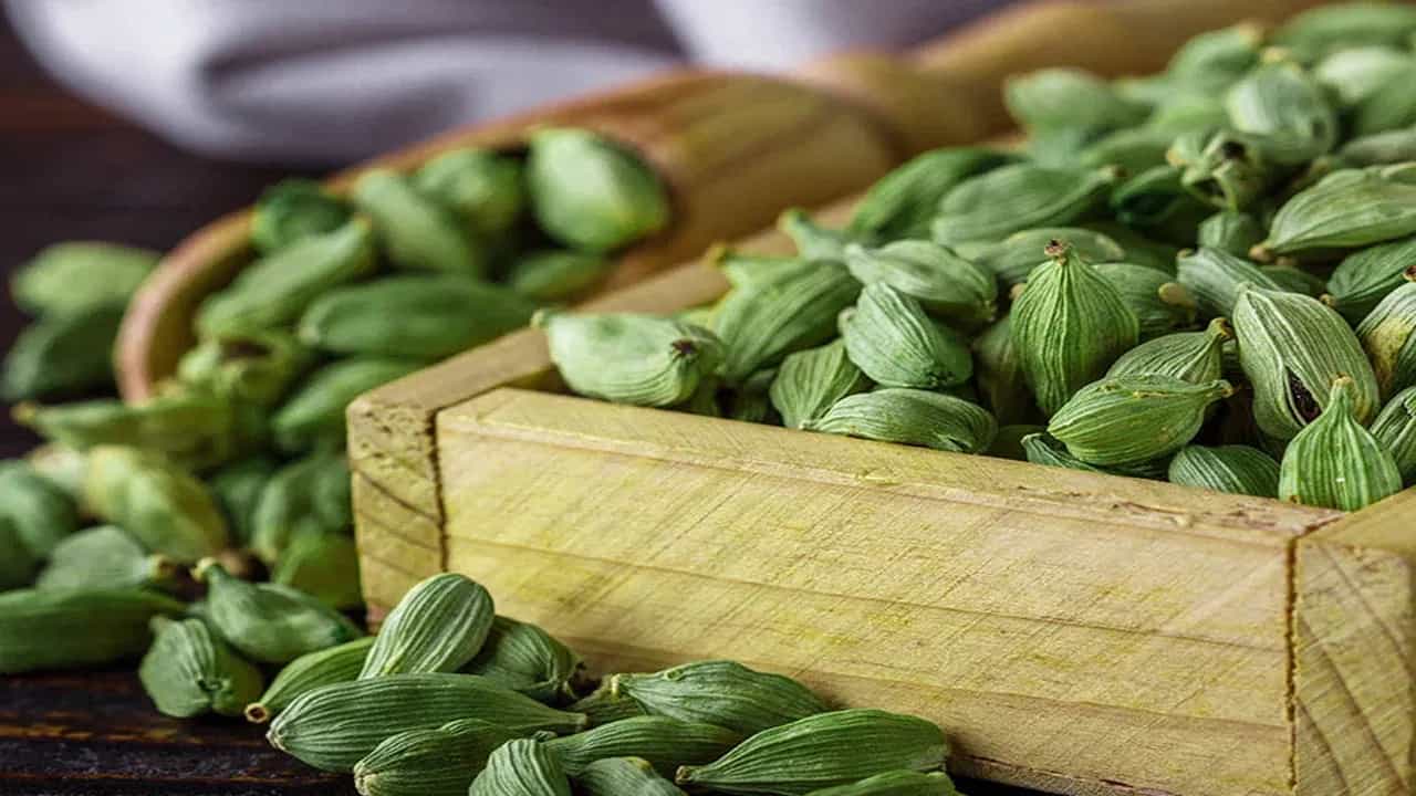रिकाम्या पोटी वेलचीचं सेवन केल्यास कोणते आजार झटक्यात बरे होतात? घ्या जाणून