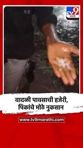 वादळी पावसाची हजेरी, पिकांचे मोठे नुकसान