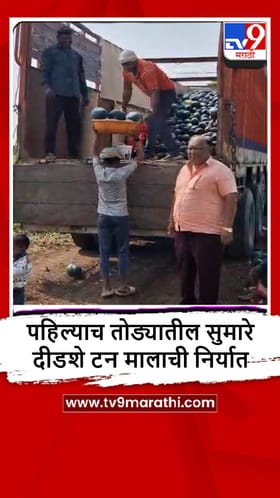 Jalgaon: चाळीसगावच्या टरबुजाला काठमांडूतून मोठी मागणी, किलोला किती भाव?.