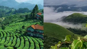 Photo : भारतातील स्कॉटलंड, लोक इथं जायला उत्सुक; वर्षभर असते हिरवळ.