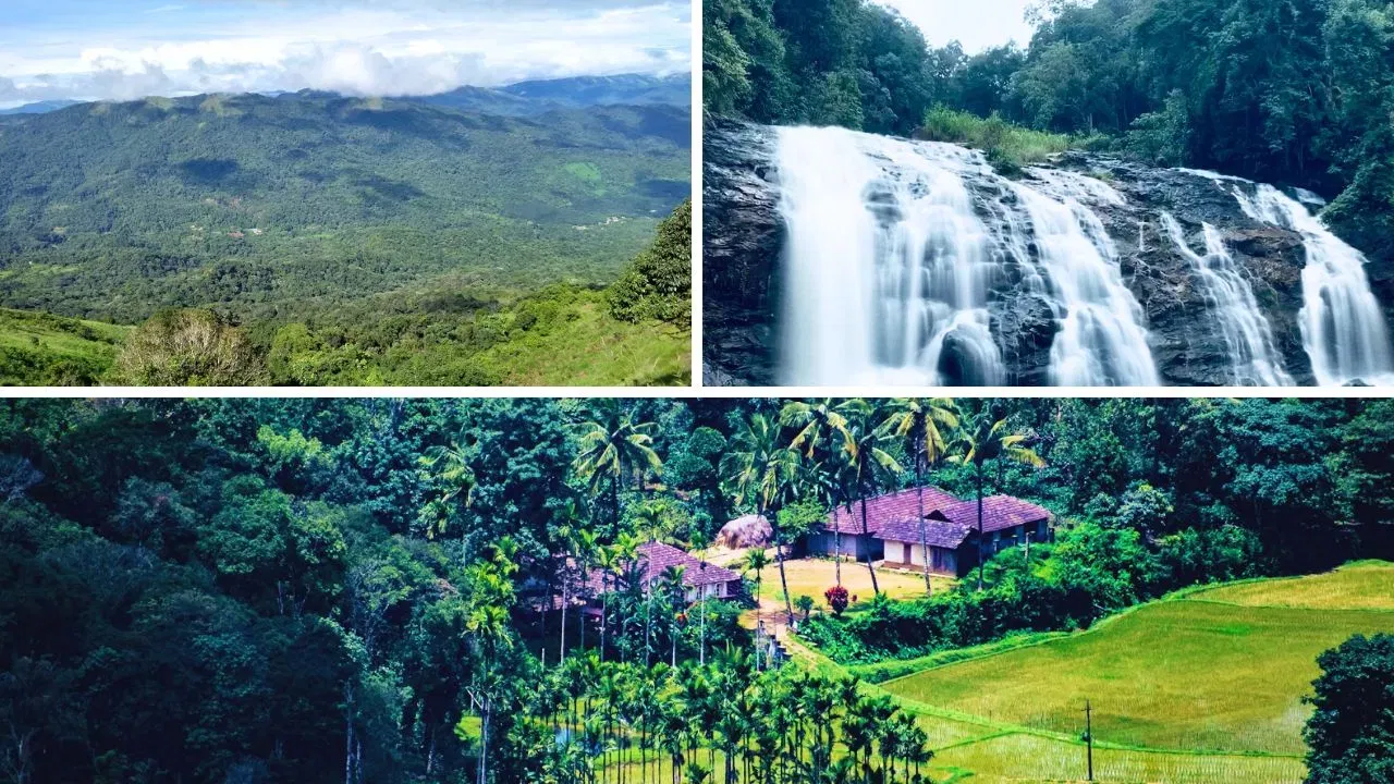 कॉफीचे मळे: कूर्ग हे भारतातील कॉफी उत्पादनाचे एक प्रमुख केंद्र आहे. येथील विस्तीर्ण कॉफीचे मळे आणि त्यातून येणारा सुगंध पर्यटकांना भुरळ घालतो.