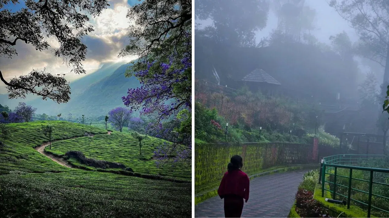 भारताचे स्कॉटलंड: कर्नाटक राज्यातील कूर्गला त्याच्या नैसर्गिक सौंदर्यामुळे आणि अद्भूत हवामानामुळे 'भारताचे स्कॉटलंड' असे म्हटले जाते. हे ठिकाण निसर्गप्रेमींसाठी नंदनवन आहे.