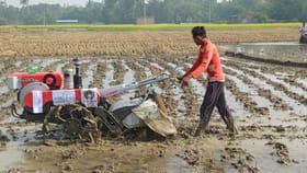 शेतात पीक नाही, पण कागदावर बागा... तब्बल 75 कोटींचा महाघोटाळा, काय घडल.