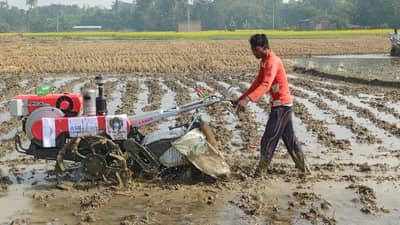 शेतात पीक नाही, पण कागदावर बागा... तब्बल 75 कोटींचा महाघोटाळा; नेमकं काय घडलं?