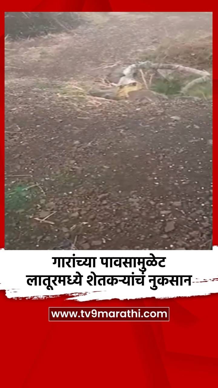 गारांच्या पावसामुळे लातूरमध्ये शेतकऱ्यांचं नुकसान