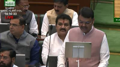 1 हजारपेक्षा जास्त लोकसंख्या असलेल्या गावांबद्दल अर्थसंकल्पात अत्यंत मोठी घोषणा, थेट..