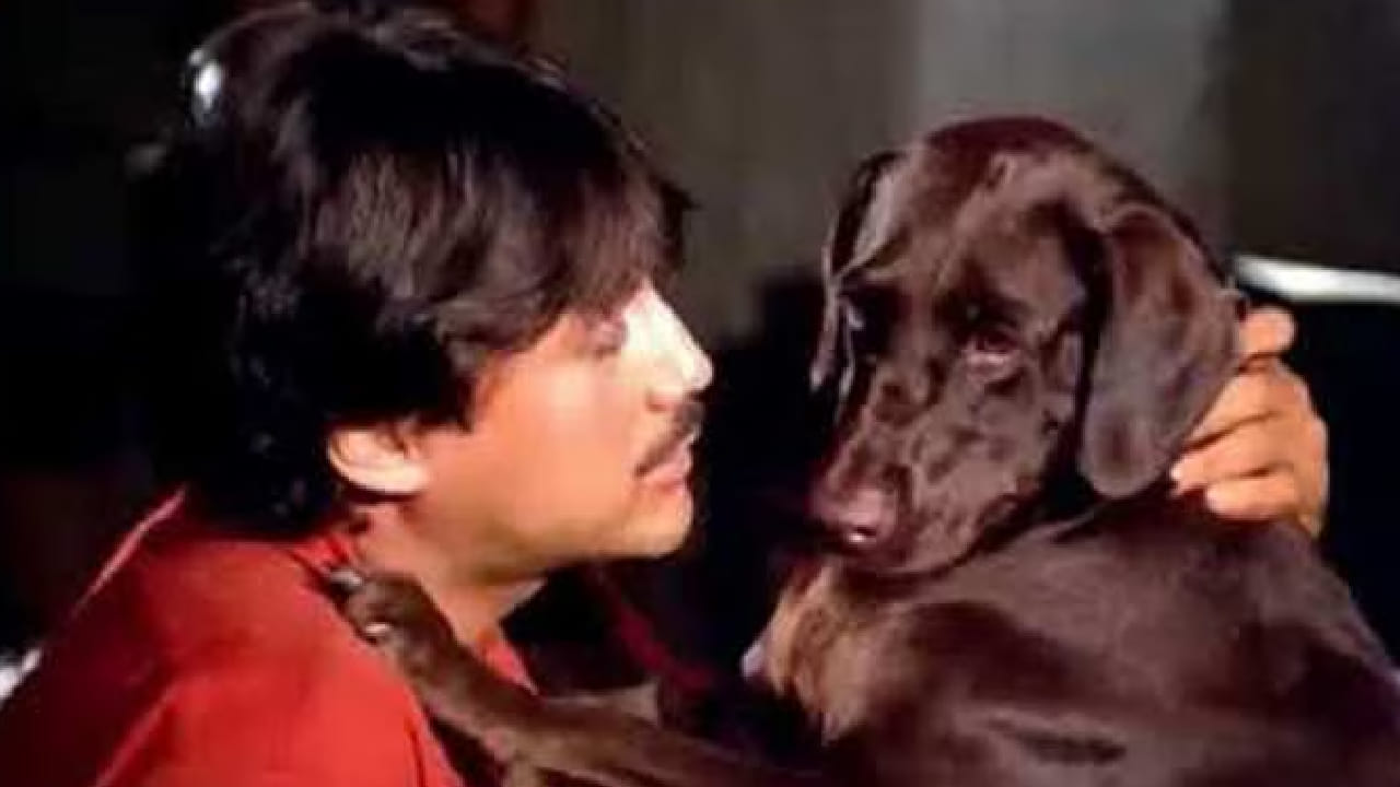 याच परंपरेत 1980 च्या दशकात आलेला 'तेरी मेहरबानींया' हा चित्रपटही ब्लॉकबस्टर ठरला. माणूस आणि कुत्रा यांच्यातील प्रेम, निष्ठा आणि विश्वासाचं नातं या चित्रपटात इतक्या प्रभावीपणे दाखवलं आहे की आजही हा चित्रपट पाहताना अनेक प्रेक्षक भावूक होतात.